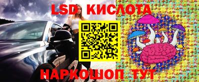 стаф Лесосибирск