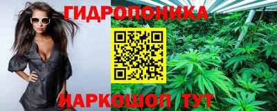 стаф Лесосибирск