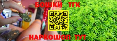 стаф Лесосибирск