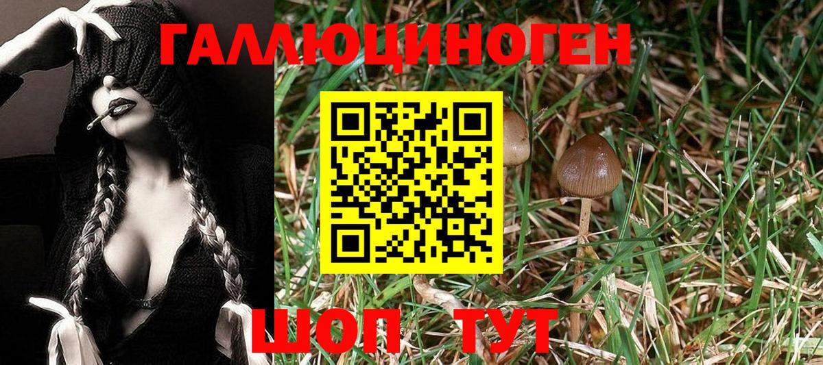 Псилоцибиновые грибы ЛСД Губаха